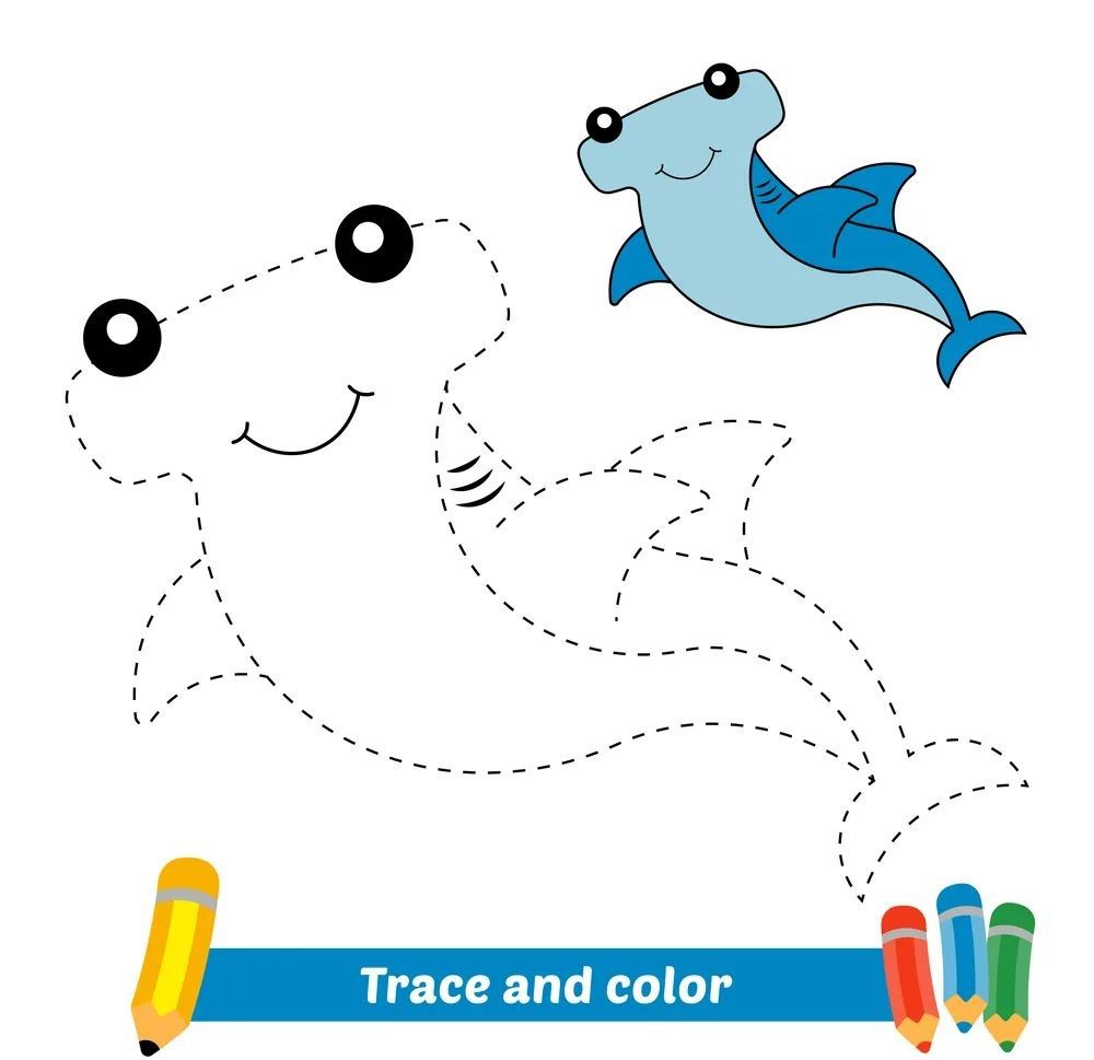 Çizgi Çalışmaları