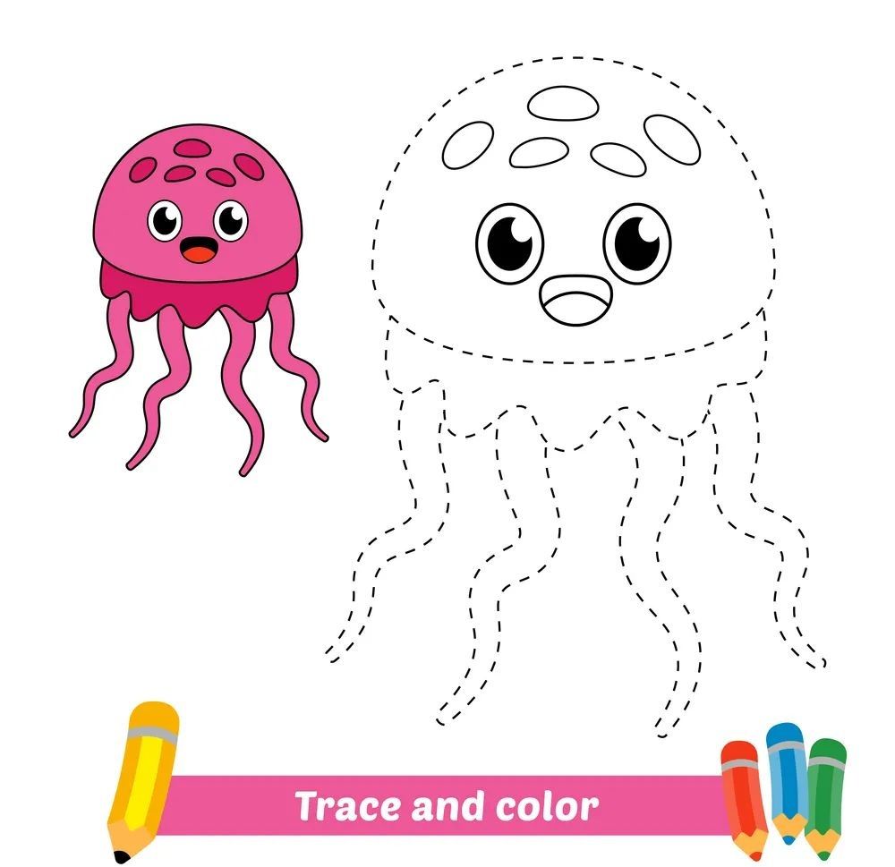 Çizgi Çalışmaları