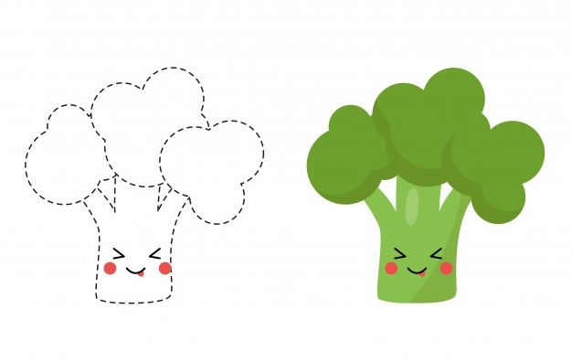 Çizgi Çalışmaları