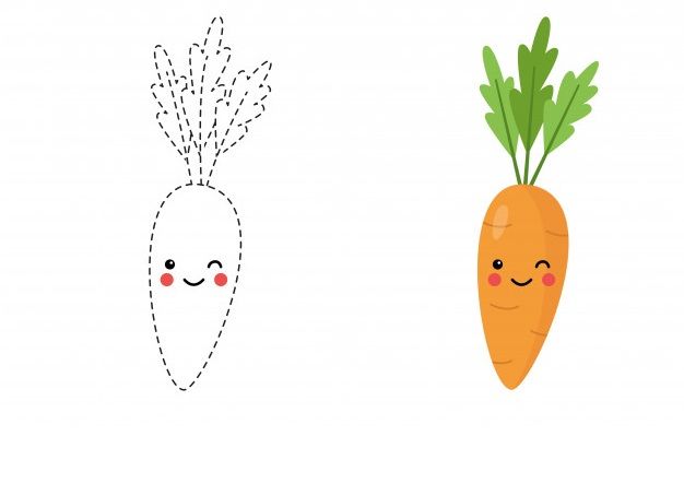 Çizgi Çalışmaları