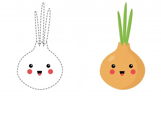 Çizgi Çalışmaları