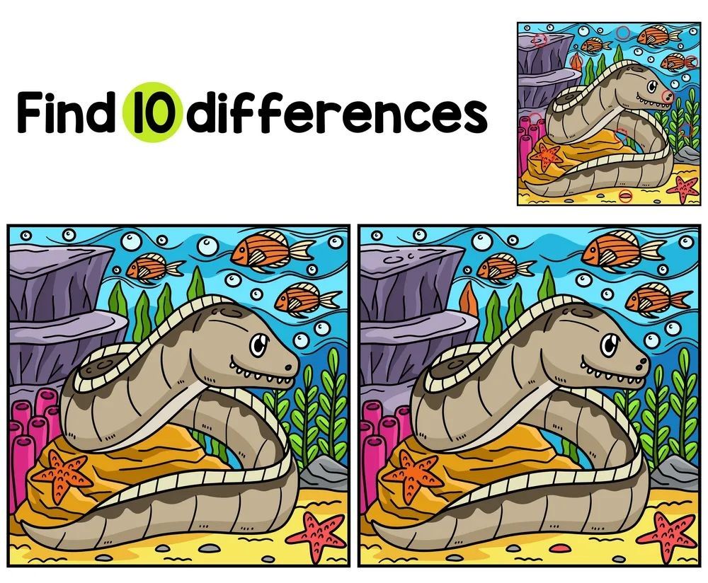 İki Resim Arasındaki 10 Farkı Bul