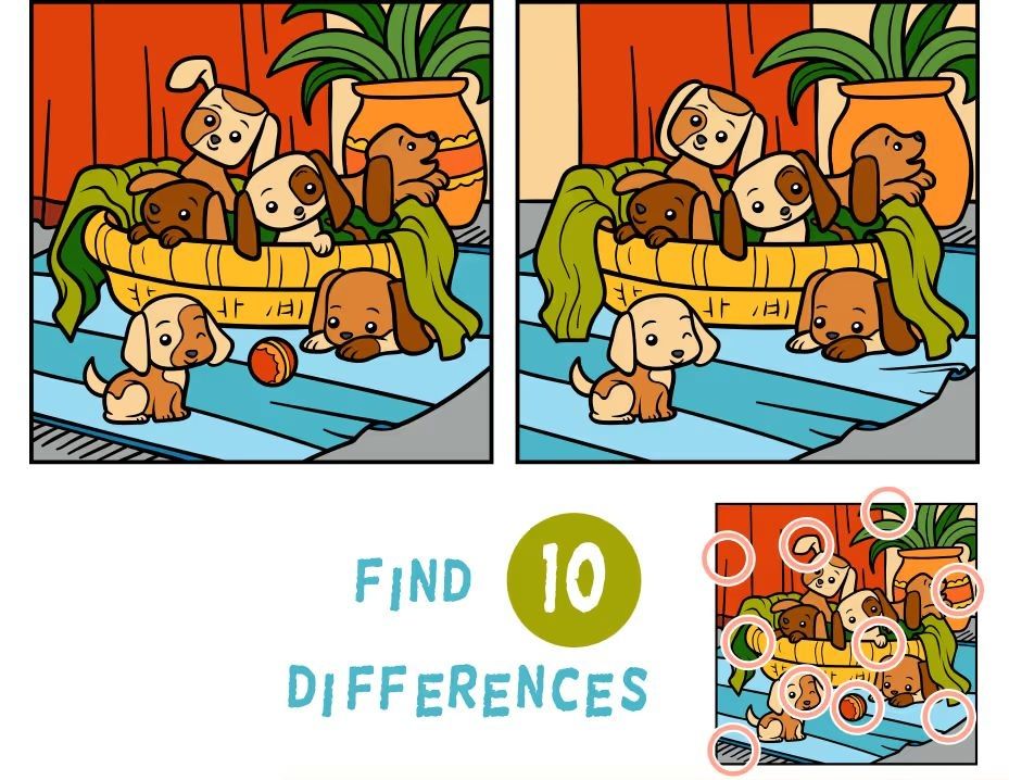 İki Resim Arasındaki 10 Farkı Bul