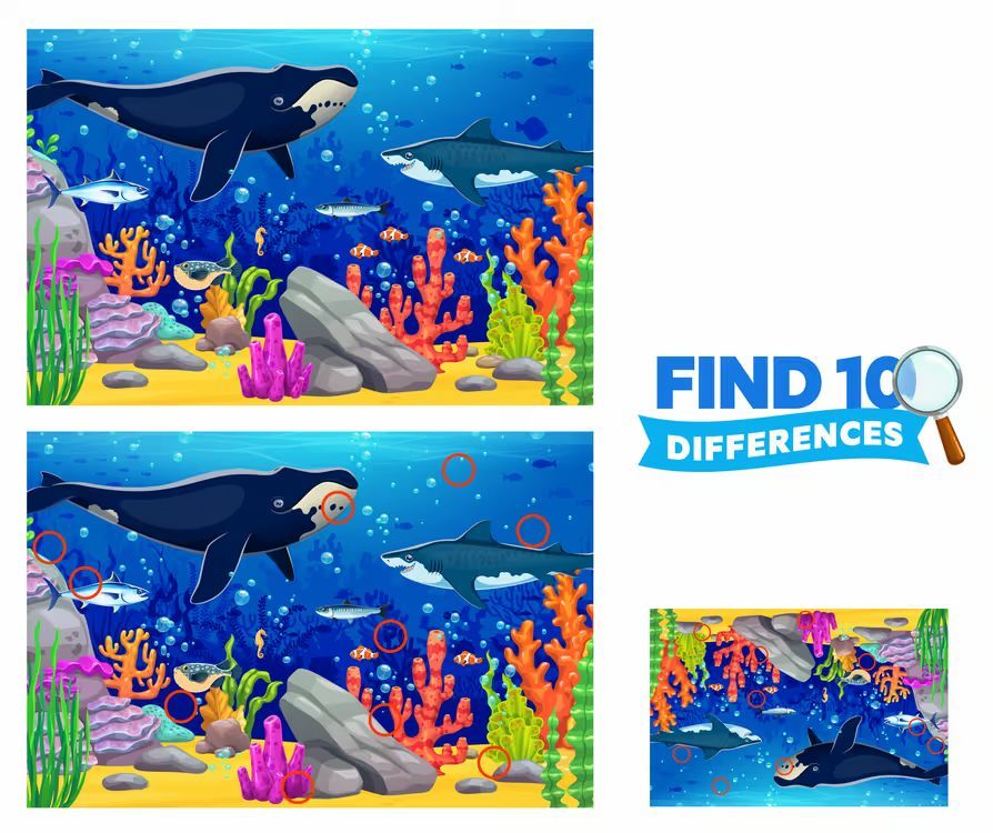 İki Resim Arasındaki 10 Farkı Bul