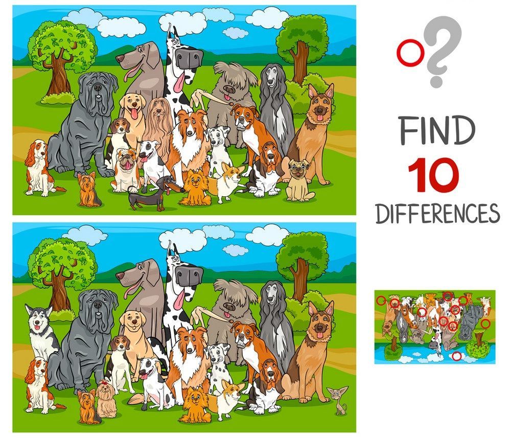 İki Resim Arasındaki 10 Farkı Bul