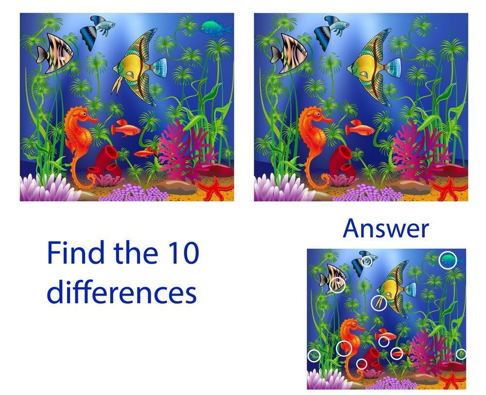 İki Resim Arasındaki 10 Farkı Bul