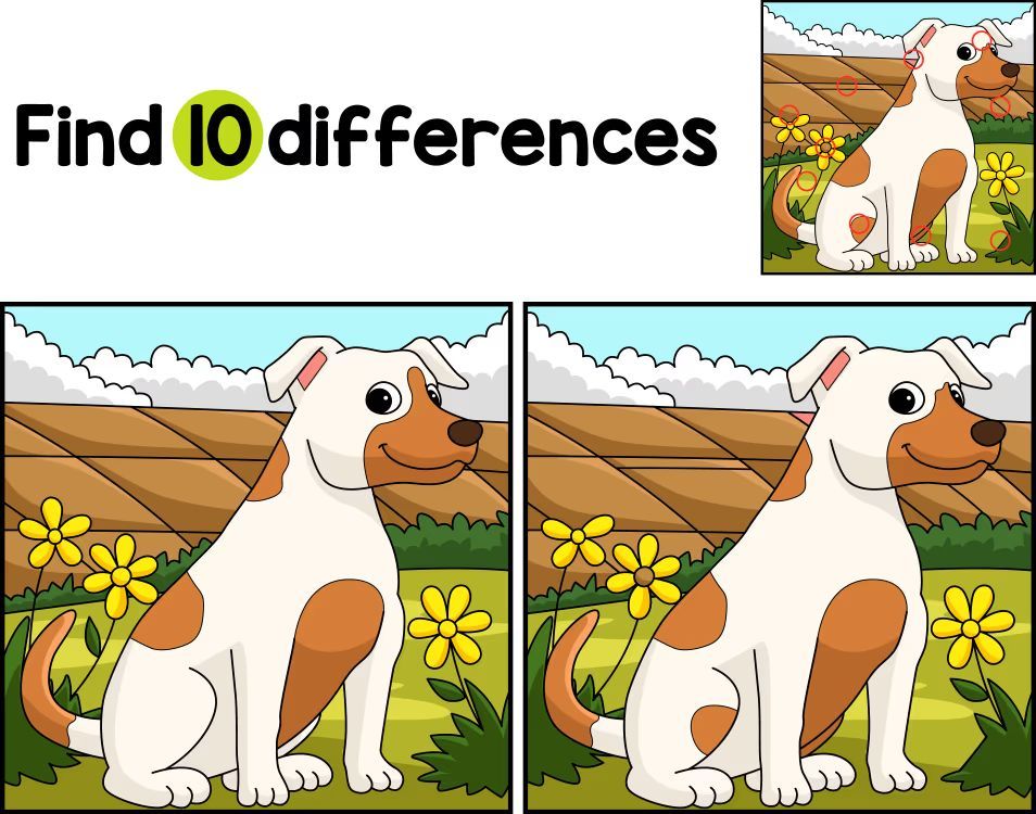 İki Resim Arasındaki 10 Farkı Bul