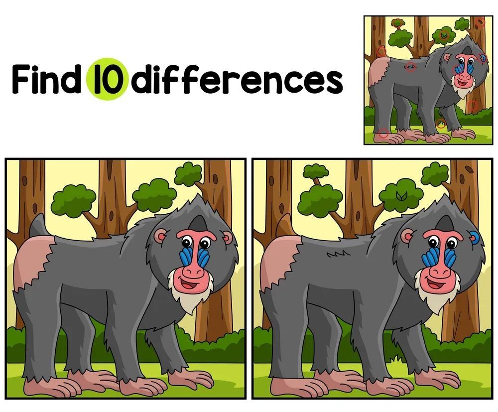 İki Resim Arasındaki 10 Farkı Bul