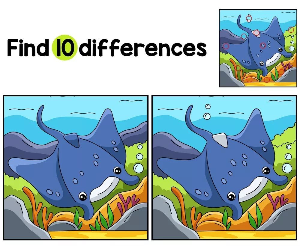 İki Resim Arasındaki 10 Farkı Bul