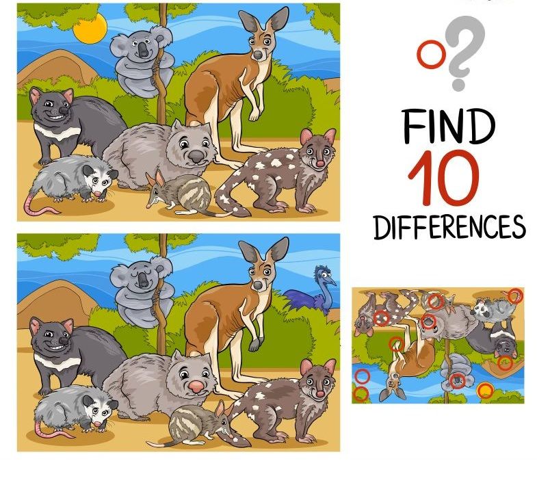 İki Resim Arasındaki 10 Farkı Bul