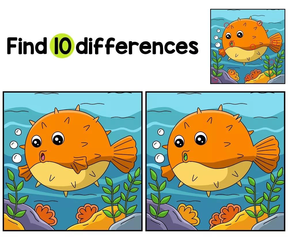 İki Resim Arasındaki 10 Farkı Bul