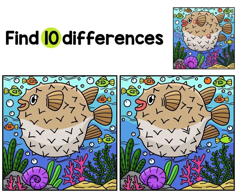 İki Resim Arasındaki 10 Farkı Bul