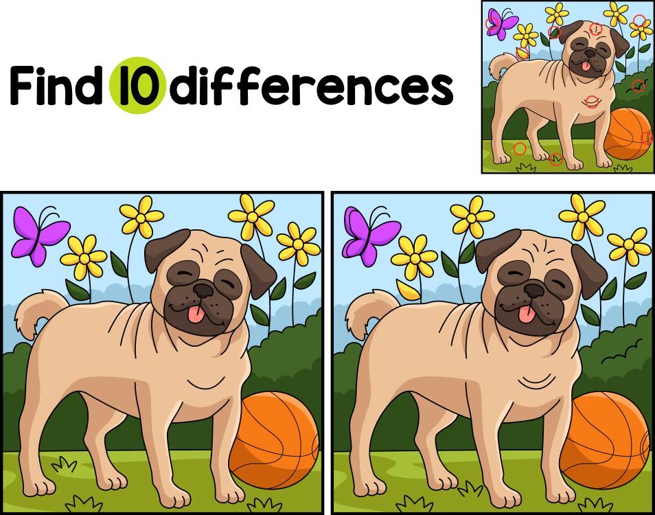 İki Resim Arasındaki 10 Farkı Bul