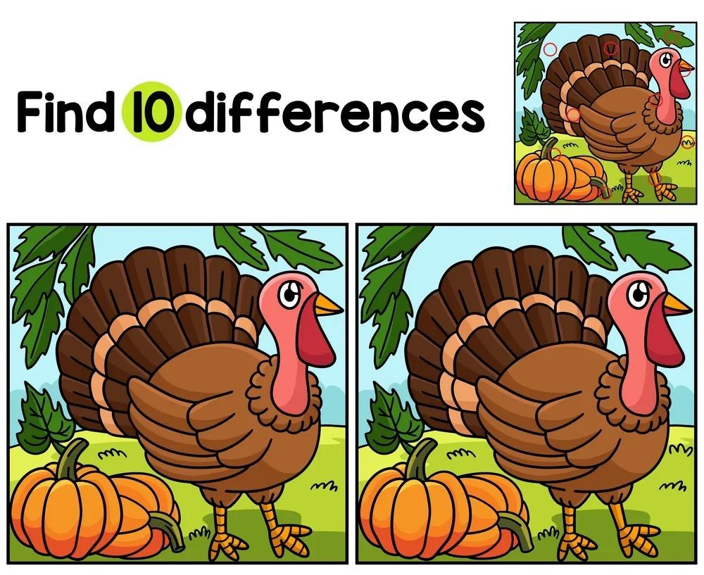 İki Resim Arasındaki 10 Farkı Bul