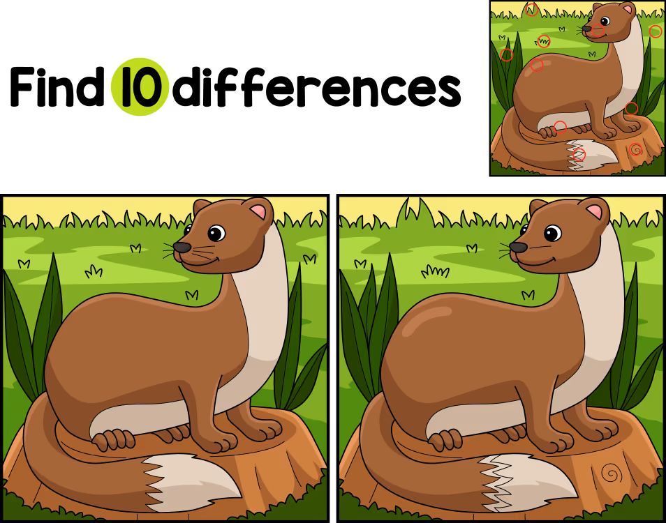 İki Resim Arasındaki 10 Farkı Bul