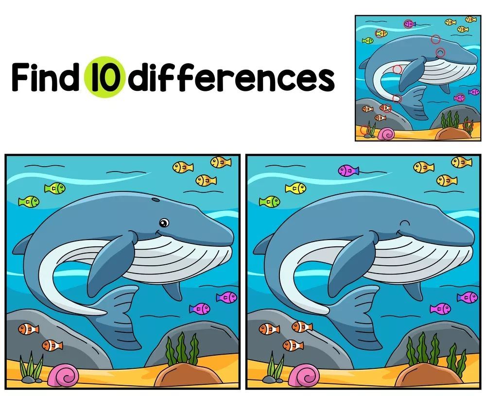 İki Resim Arasındaki 10 Farkı Bul