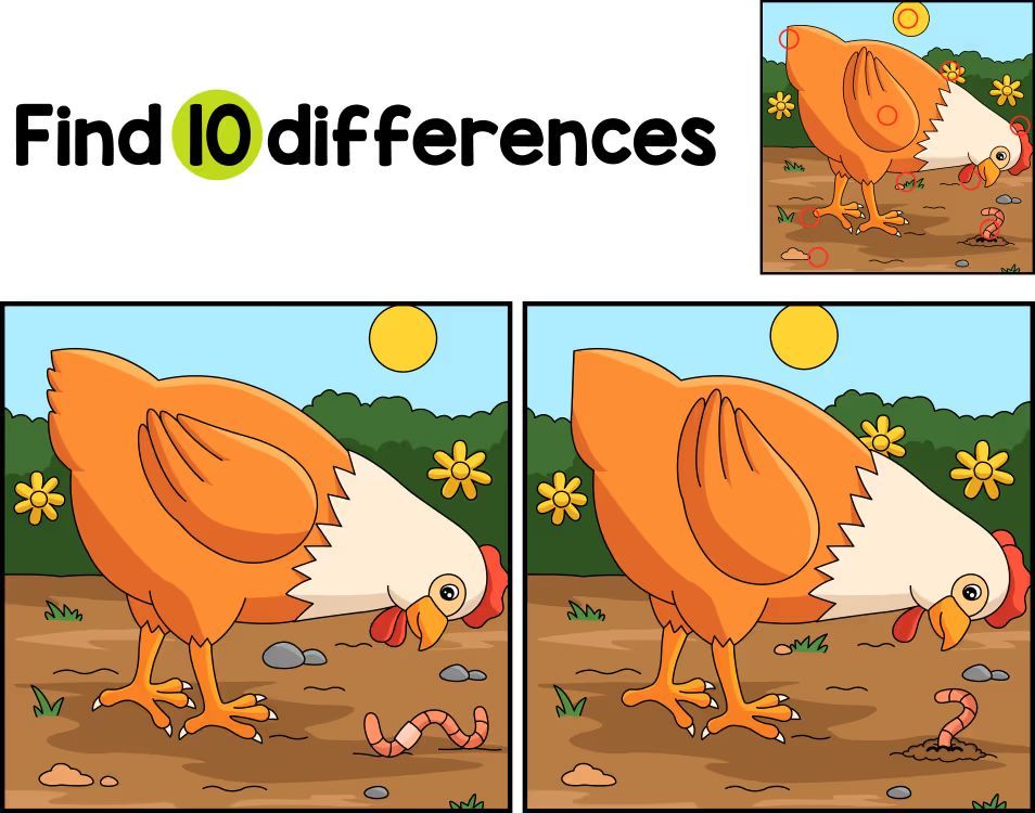 İki Resim Arasındaki 10 Farkı Bul