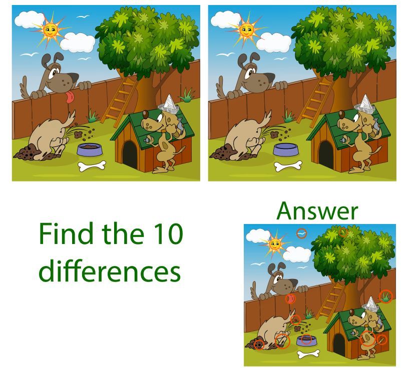 İki Resim Arasındaki 10 Farkı Bul