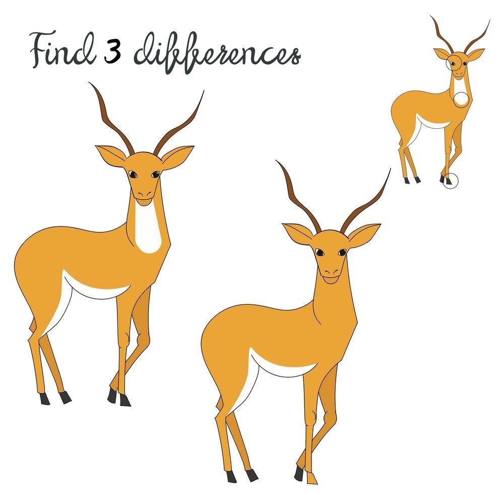 İki Resim Arasındaki 3 Farkı Bul