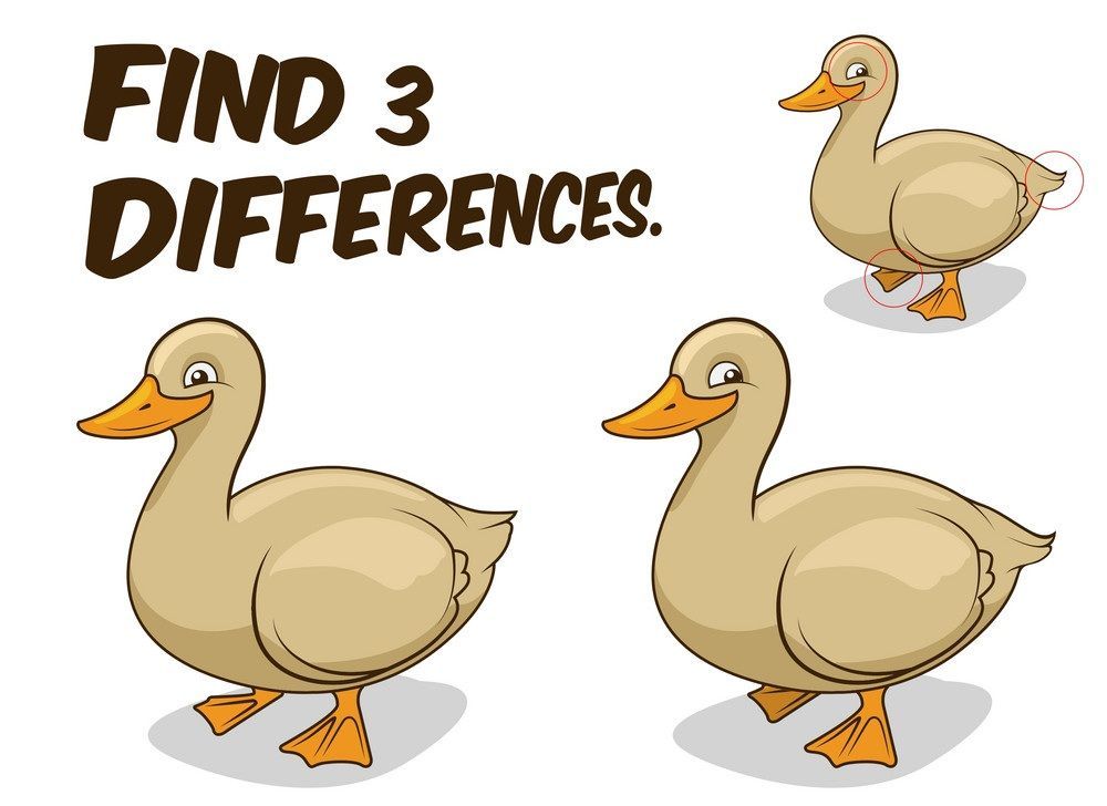 İki Resim Arasındaki 3 Farkı Bul