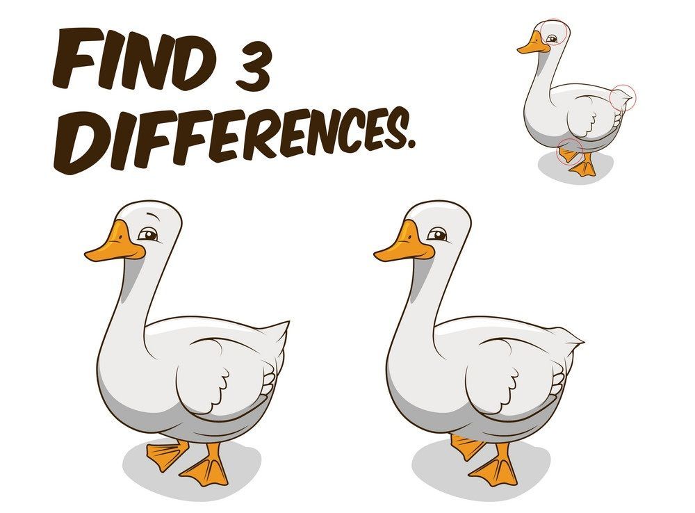 İki Resim Arasındaki 3 Farkı Bul