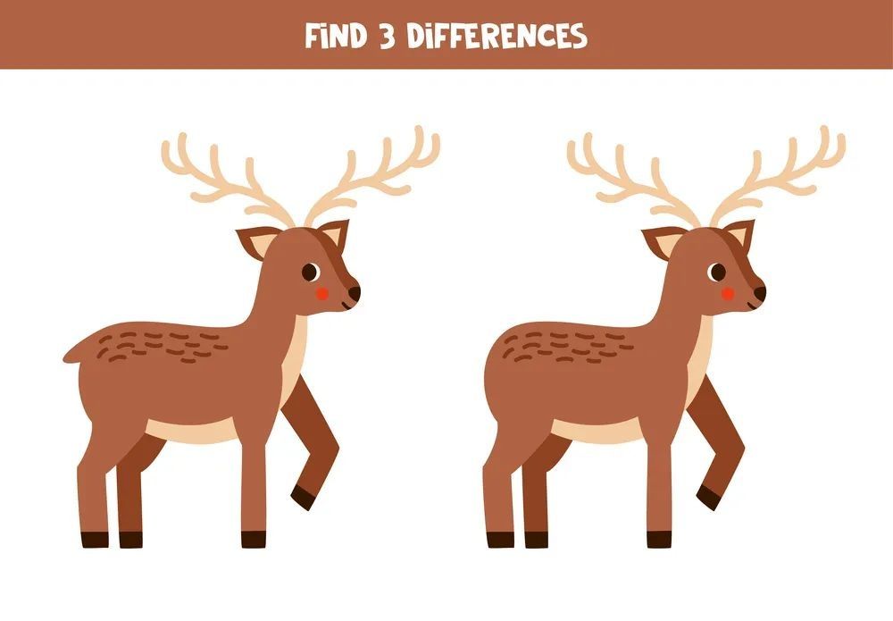 İki Resim Arasındaki 3 Farkı Bul