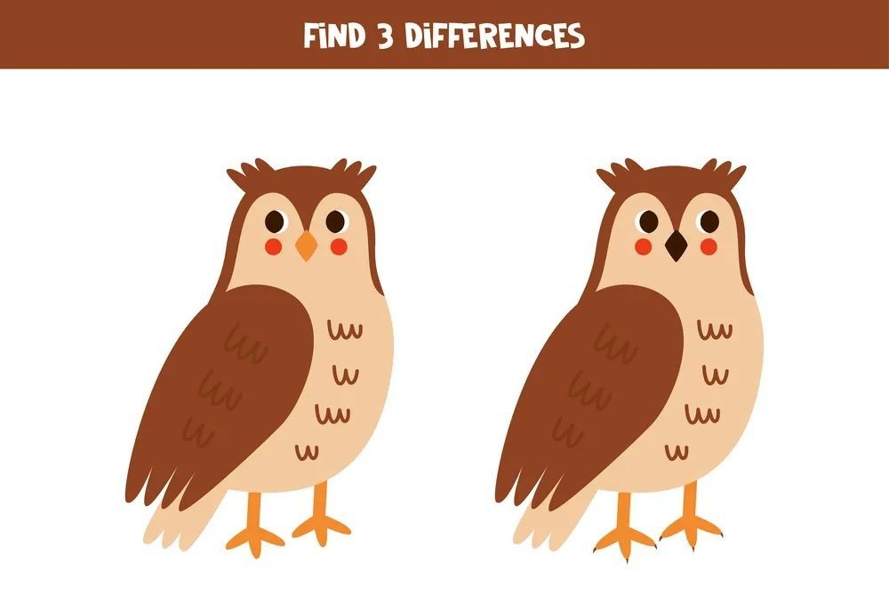 İki Resim Arasındaki 3 Farkı Bul