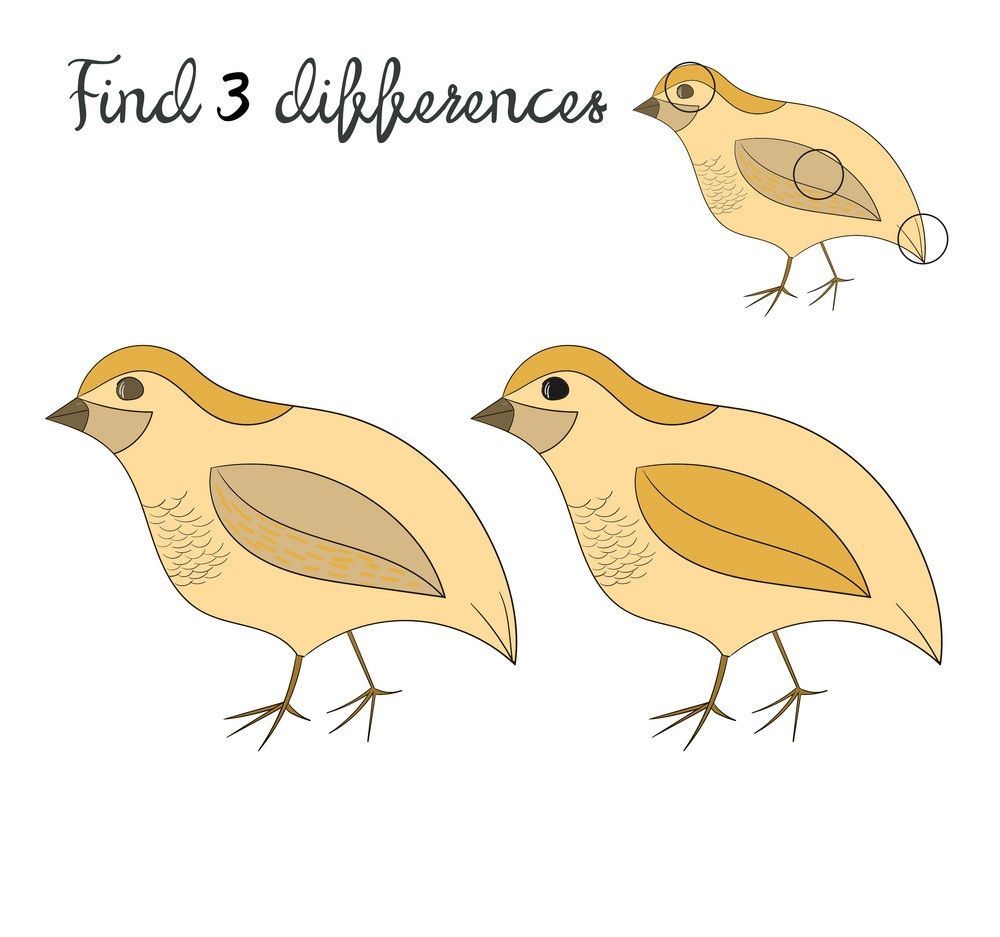 İki Resim Arasındaki 3 Farkı Bul