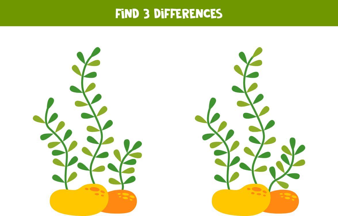 İki Resim Arasındaki 3 Farkı Bul