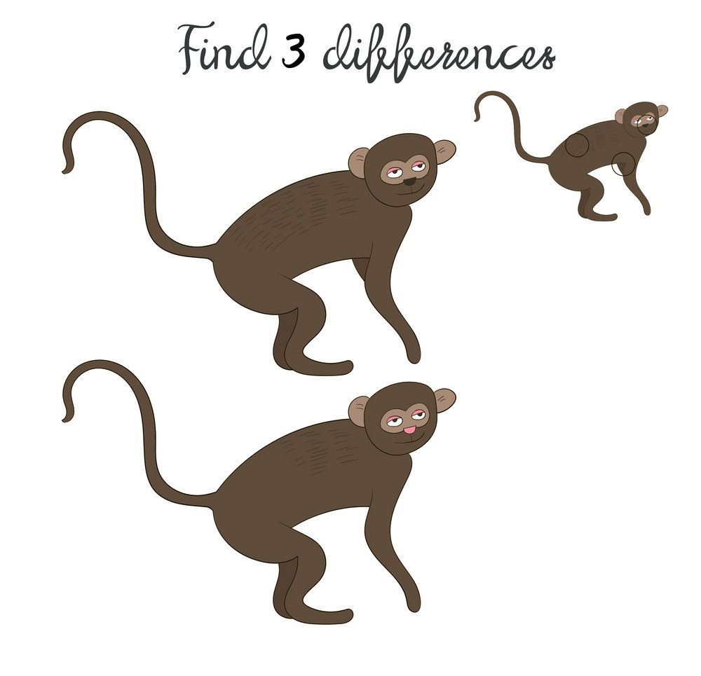 İki Resim Arasındaki 3 Farkı Bul