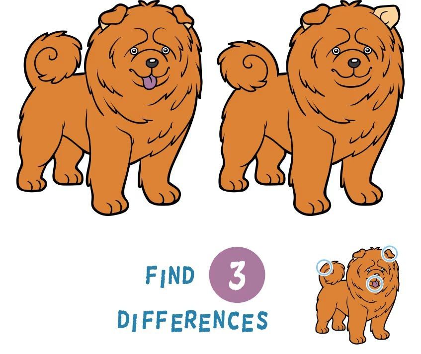 İki Resim Arasındaki 3 Farkı Bul