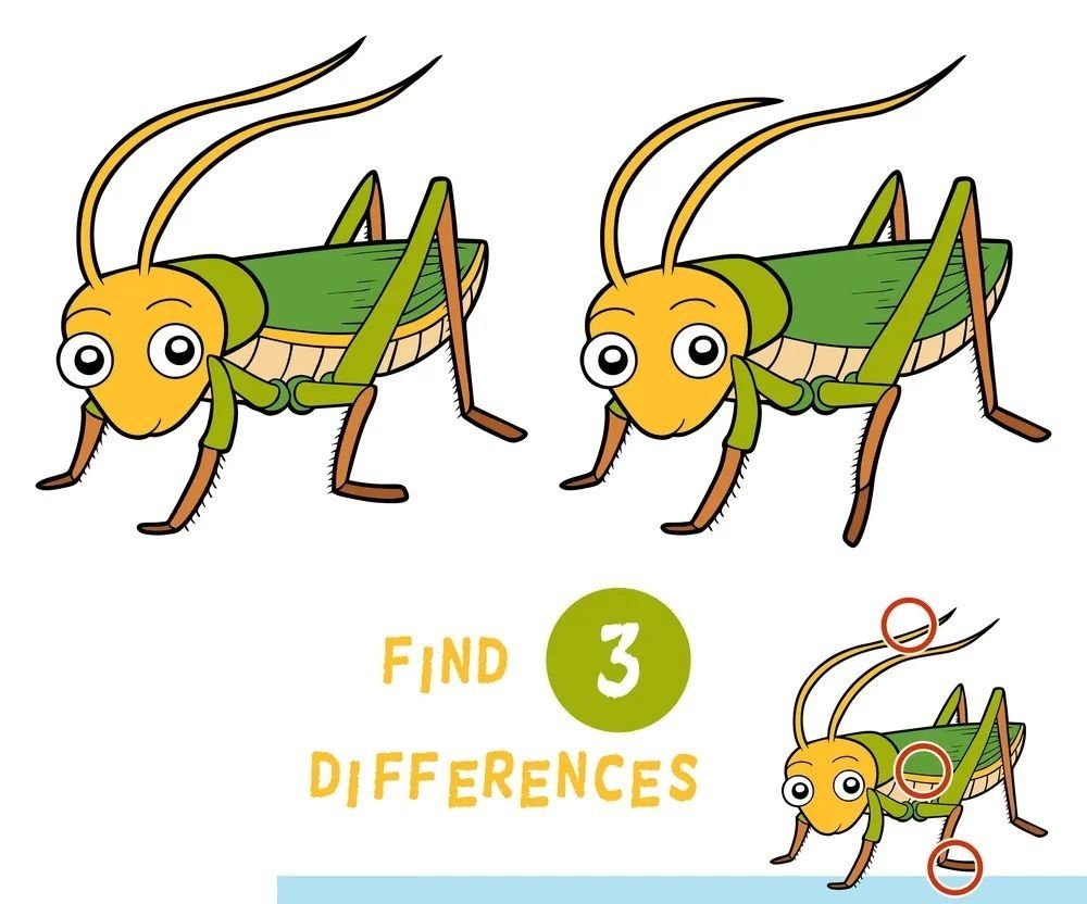 İki Resim Arasındaki 3 Farkı Bul