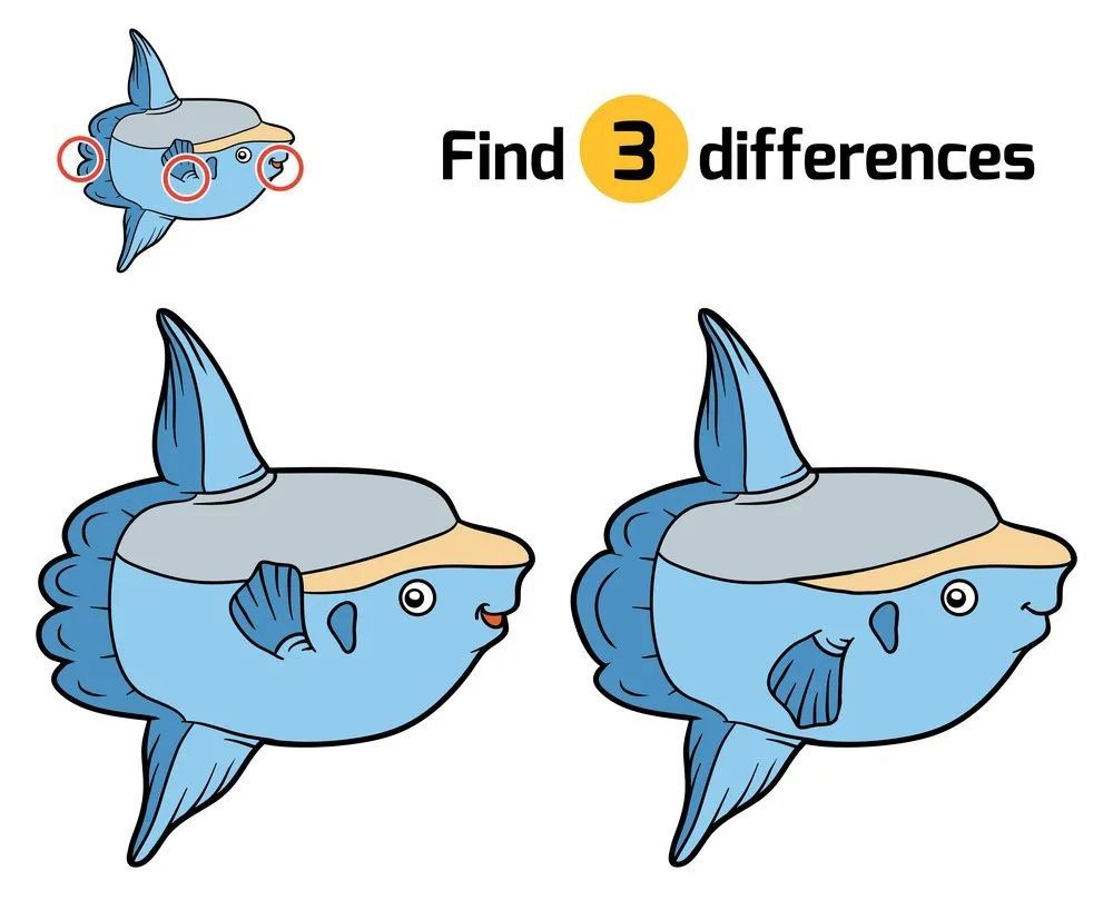 İki Resim Arasındaki 3 Farkı Bul