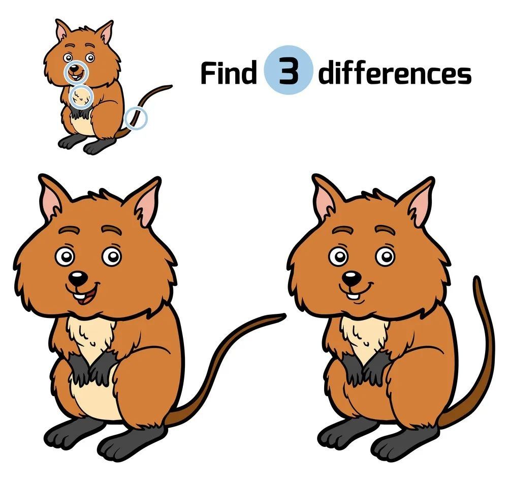 İki Resim Arasındaki 3 Farkı Bul