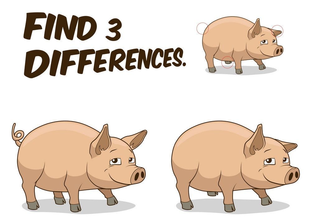 İki Resim Arasındaki 3 Farkı Bul