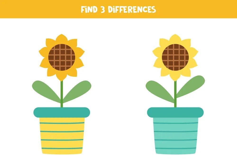 İki Resim Arasındaki 3 Farkı Bul