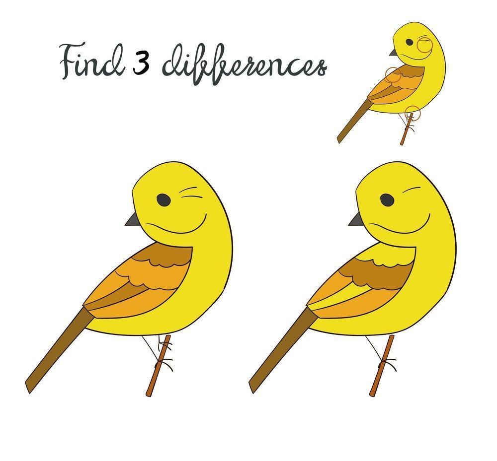 İki Resim Arasındaki 3 Farkı Bul