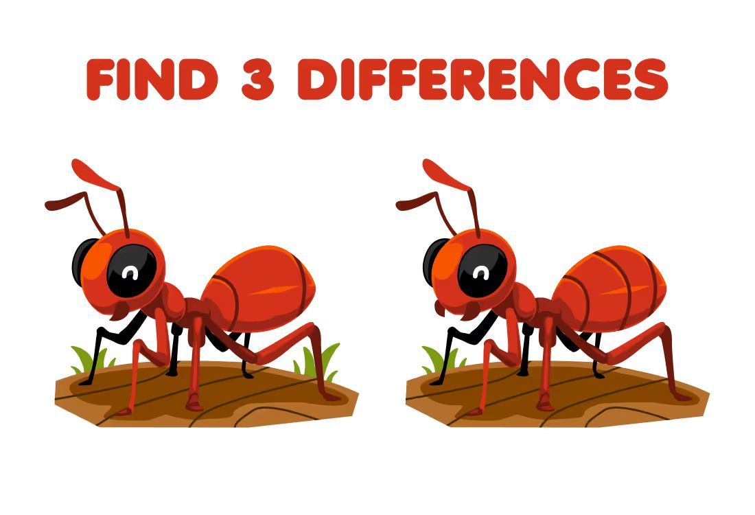 İki Resim Arasındaki 3 Farkı Bul