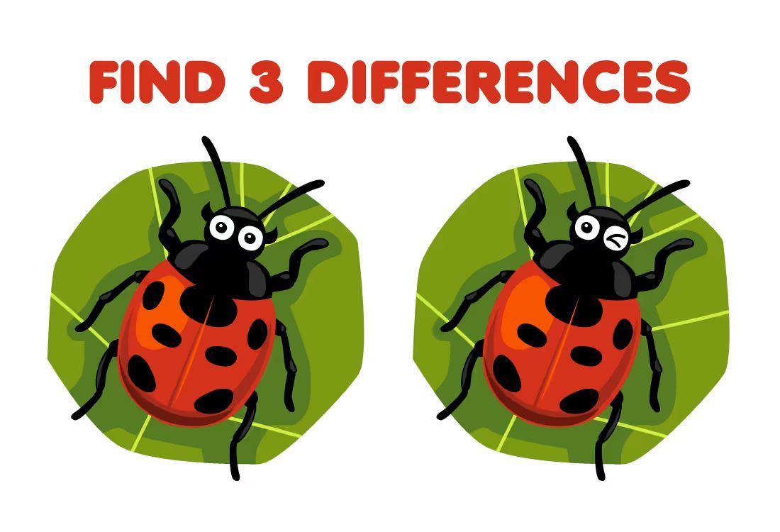 İki Resim Arasındaki 3 Farkı Bul