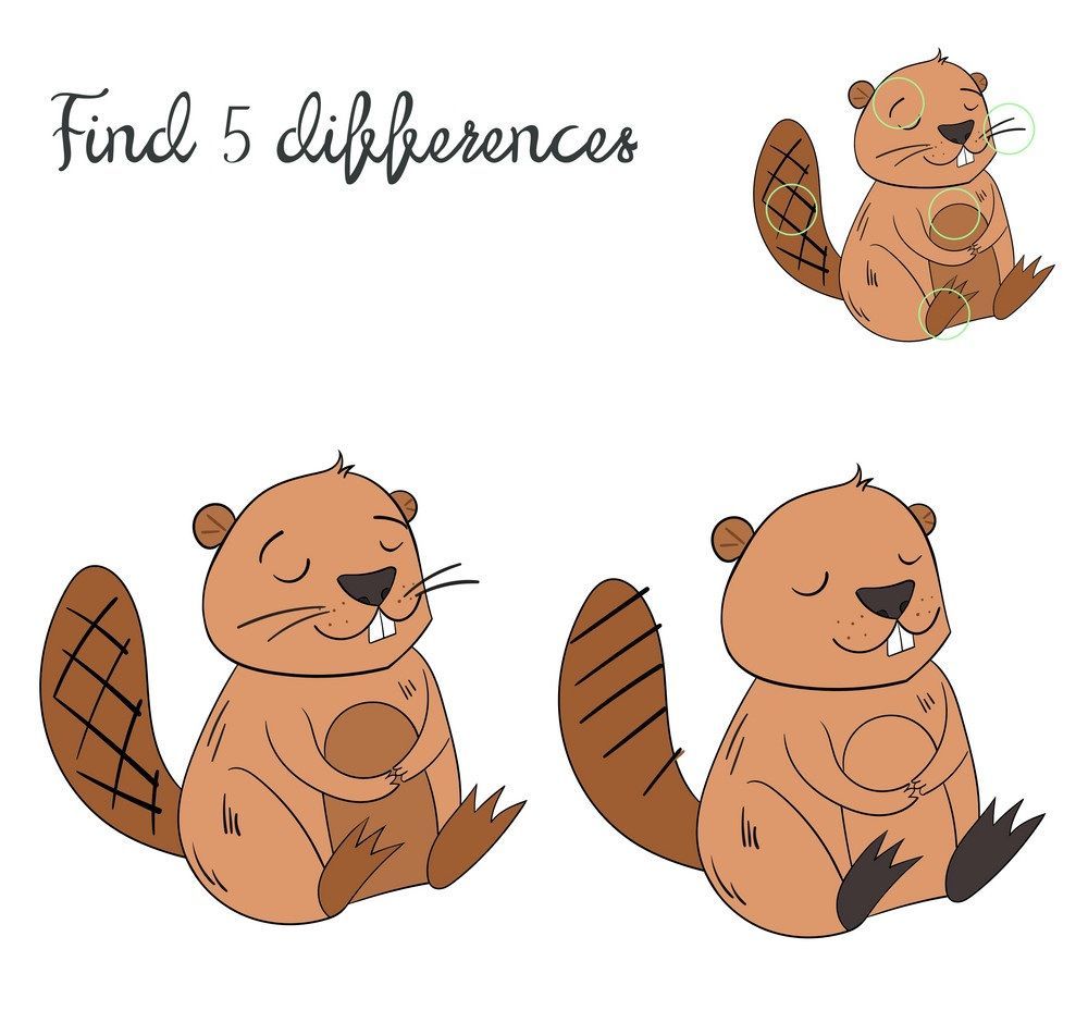 İki Resim Arasındaki 5 Farkı Bul