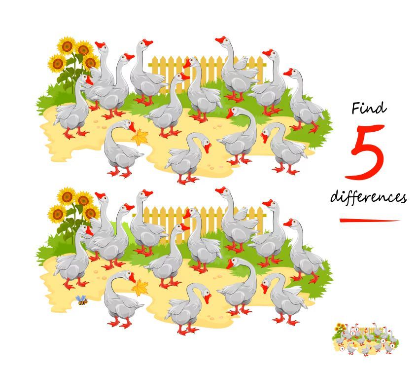 İki Resim Arasındaki 5 Farkı Bul