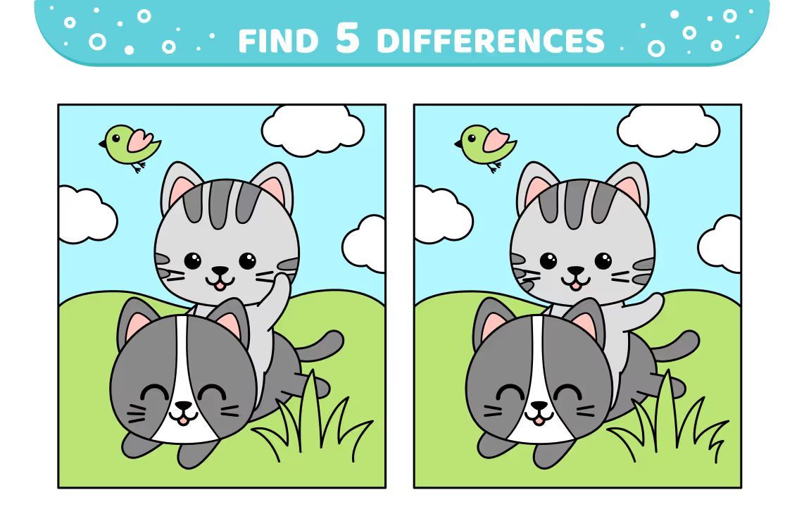 İki Resim Arasındaki 5 Farkı Bul