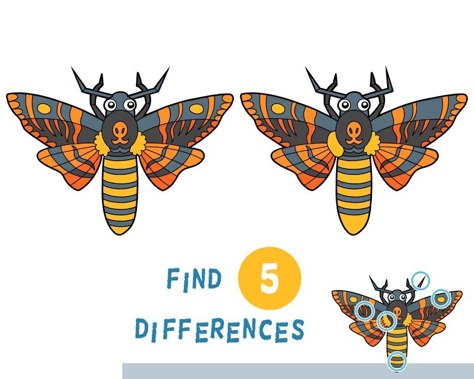 İki Resim Arasındaki 5 Farkı Bul