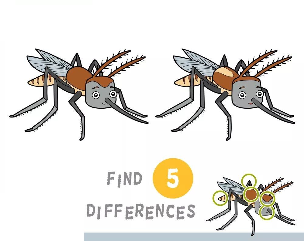 İki Resim Arasındaki 5 Farkı Bul