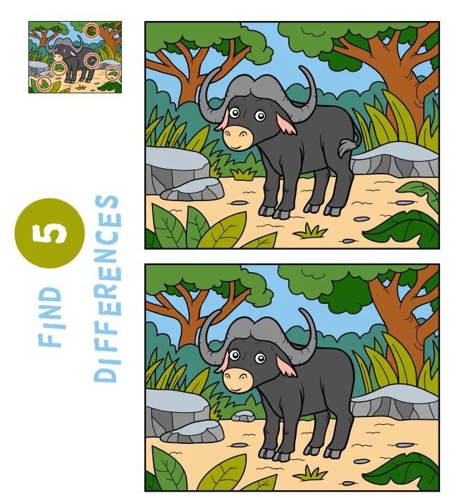 İki Resim Arasındaki 5 Farkı Bul