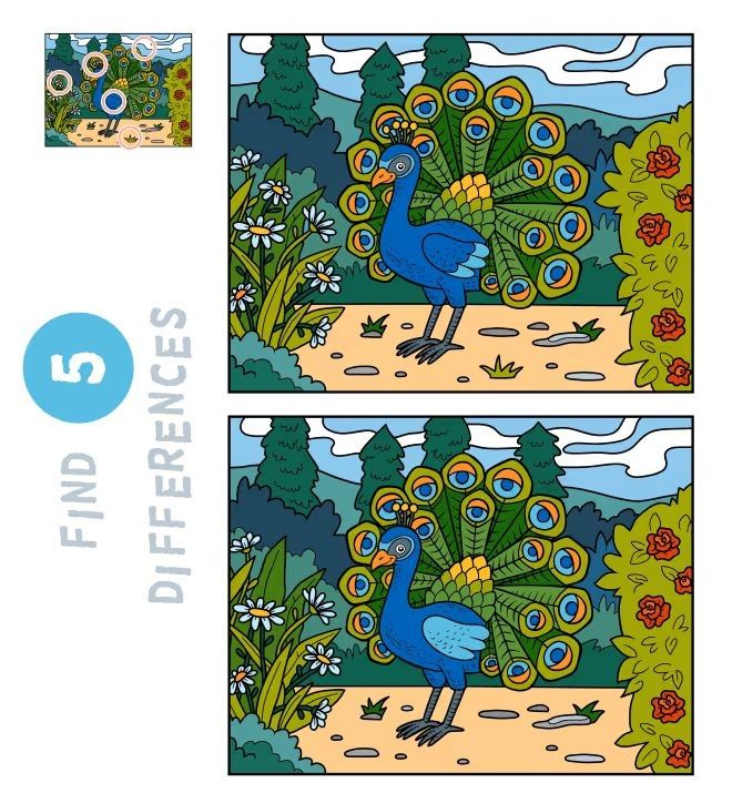 İki Resim Arasındaki 5 Farkı Bul