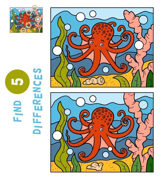 İki Resim Arasındaki 5 Farkı Bul