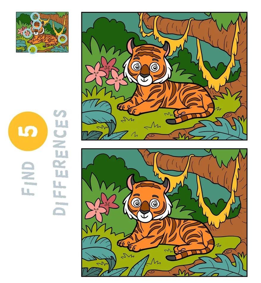 İki Resim Arasındaki 5 Farkı Bul