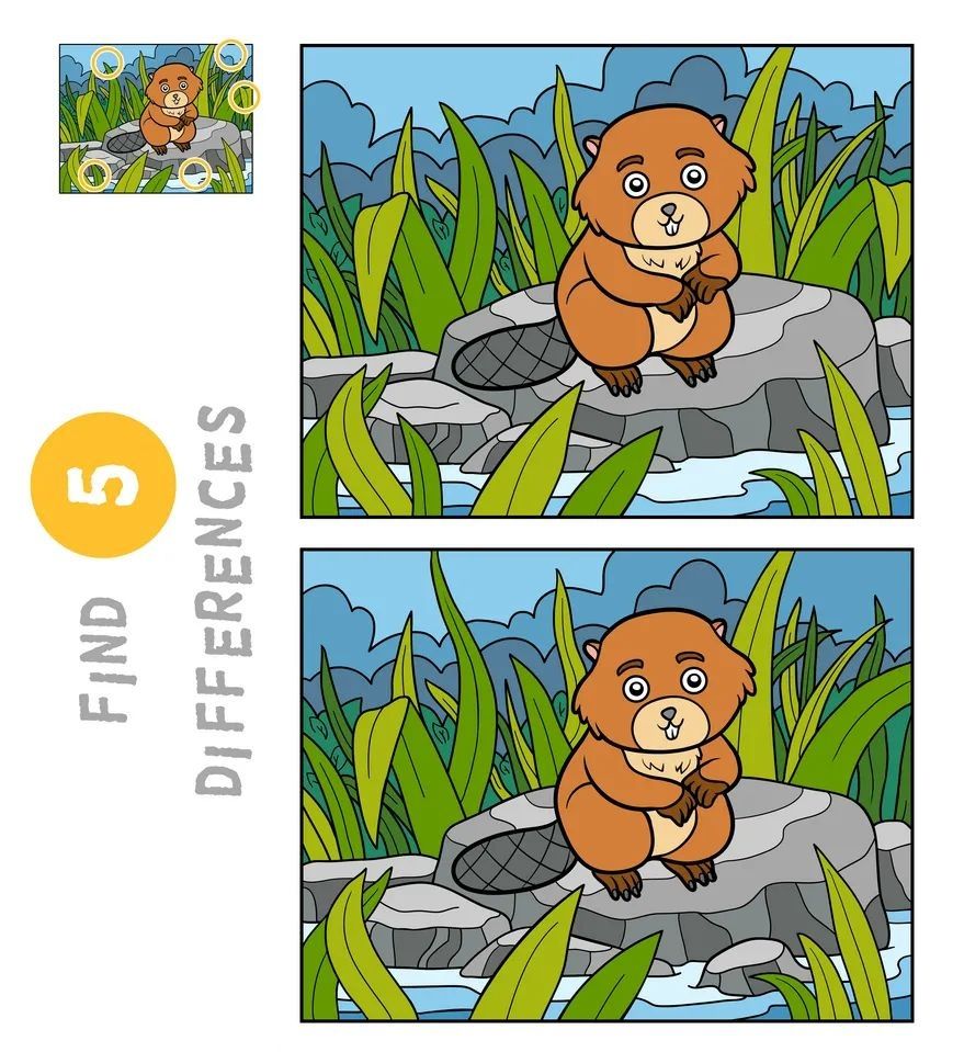 İki Resim Arasındaki 5 Farkı Bul