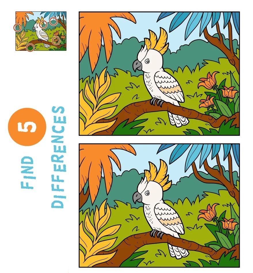 İki Resim Arasındaki 5 Farkı Bul